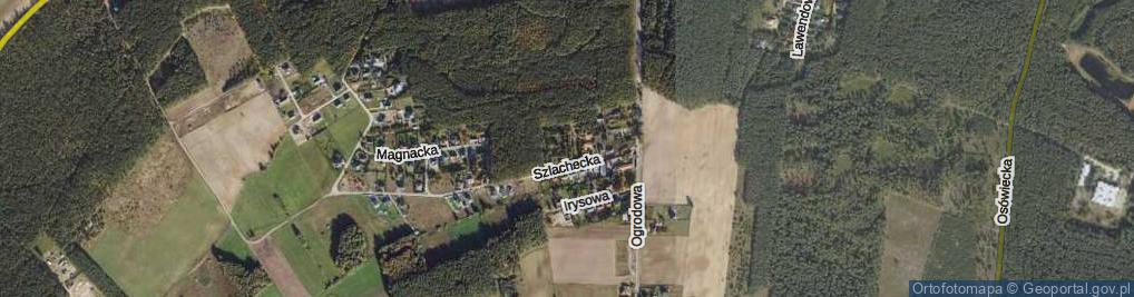 Zdjęcie satelitarne Warowna ul.